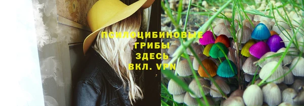 дмт Вязьма